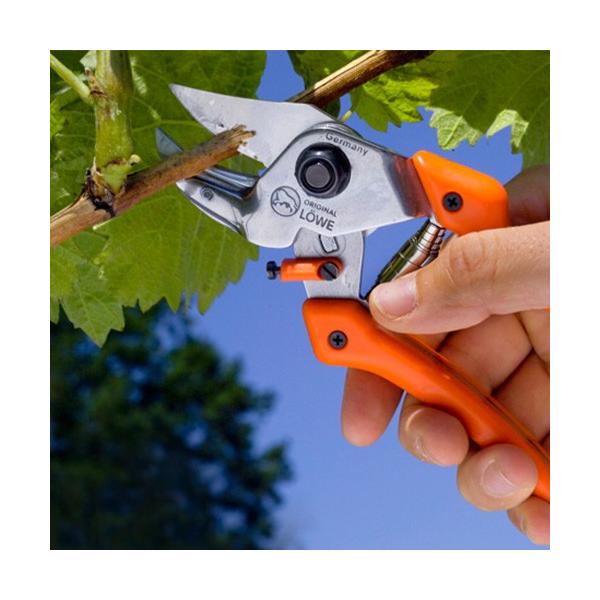 Loweライオン剪定ハサミ7 107 Lowe レーヴェ 業務 産業用 剪定ハサミ ハサミ剪定用具剪定ばさみ 鋏 247 ファームガレージoregon Shop
