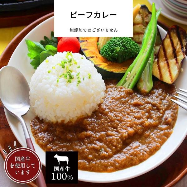 お惣菜 冷凍食品 冷凍 惣菜 無添加 総菜 おかず 宅配 食品 温めるだけ お取り寄せグルメ カレー 爆買 ビーフカレー 1パック