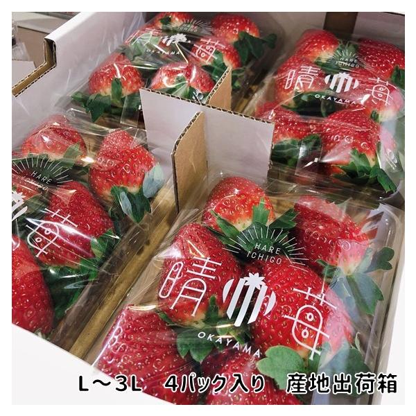 晴苺 おいCべりー 岡山県産 贈答用 ギフト L〜3Lサイズ 4 晴苺 おいCべりー 岡山県産 贈答用 ギフト L〜3Lサイズ 4