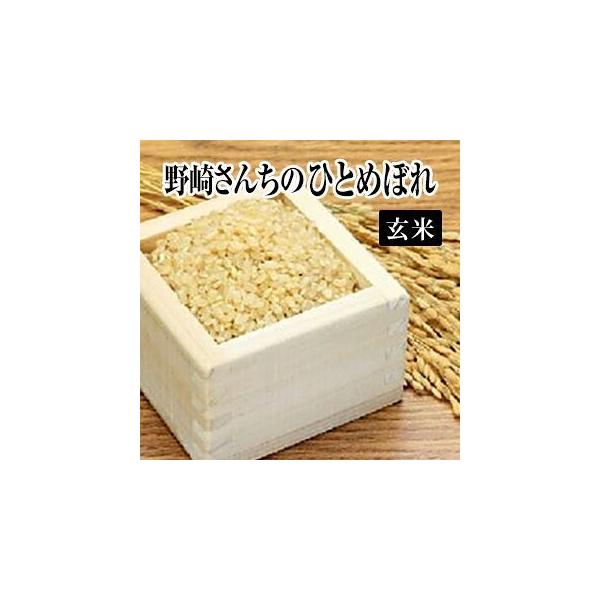 ひとめぼれ 令和6年 産生産者特定米 野崎さんちのひとめぼれ（玄米 
