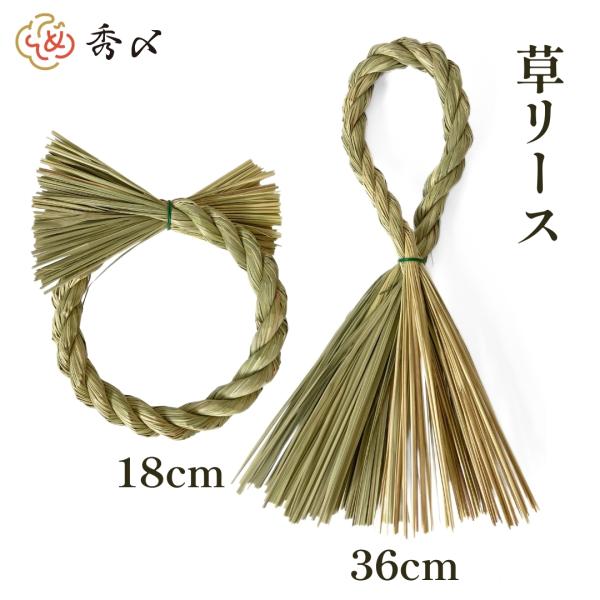 ACTINOTUS　しめ縄土台 ACTINOTUS しめ縄土台 楽天市場】【送料無料】【数量限定】秀〆