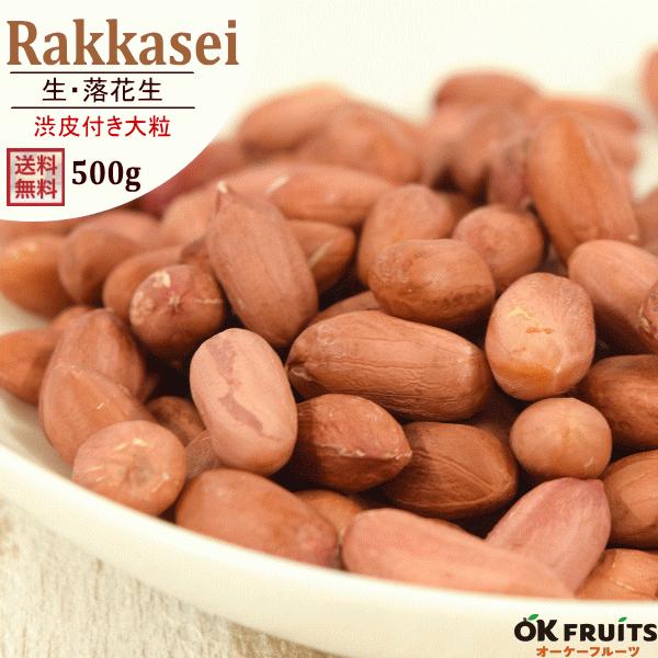 ibc   Ԑ 500g at Y  ܂  H