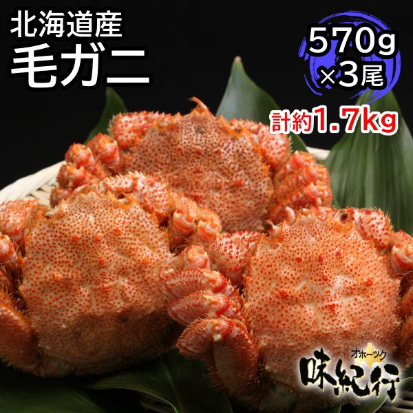 毛ガニ 北海道産 約570g×3尾入 ボイル済 ギフト 送料無料 姿 毛ガニ 北海道産 約570g×3尾入 ボイル済 ギフト 送料無料 姿