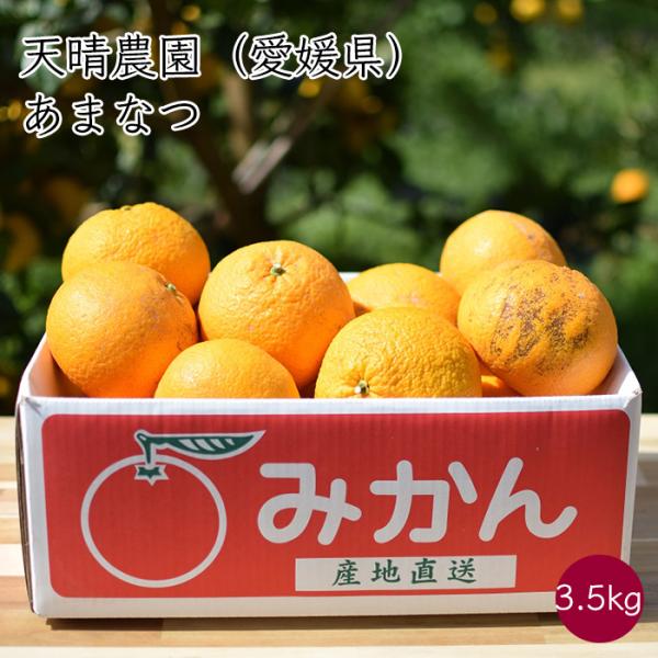天晴農園 あまなつ ご家庭用 1箱 約3.5kg／箱《産地直送 4月上旬から順次発送》【送料無料 北海道沖縄離島除く】 国産 愛媛産 甘夏 甘夏みかん