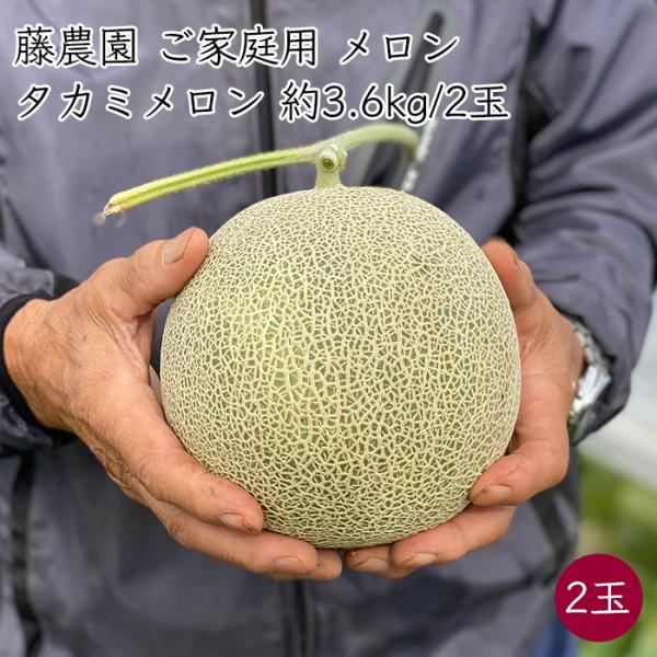 藤農園 ご家庭用 タカミメロン 約3.6kg／2玉｜剥がれ/キズ/カスレ/見た目見劣りあり《産地直送 8月上旬から順次発送》【送料無料 沖縄離島除く】