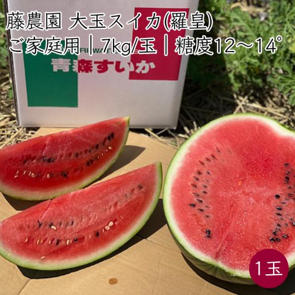藤農園 ご家庭用 羅皇 約7kg／玉 スイカ｜剥がれ/キズ/カスレ/見た目見劣りあり《産地直送 8月上旬から順次発送》【送料無料 沖縄離島除く】