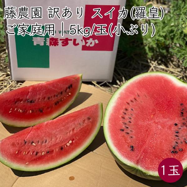 藤農園 訳あり 小ぶり 羅皇 1玉 約5kg／玉 屏風山地帯 スイカ《産地直送》【送料無料 沖縄離島除く】（路地栽培の為 剥がれ/キズ/カスレ 見た目には見劣りあり）