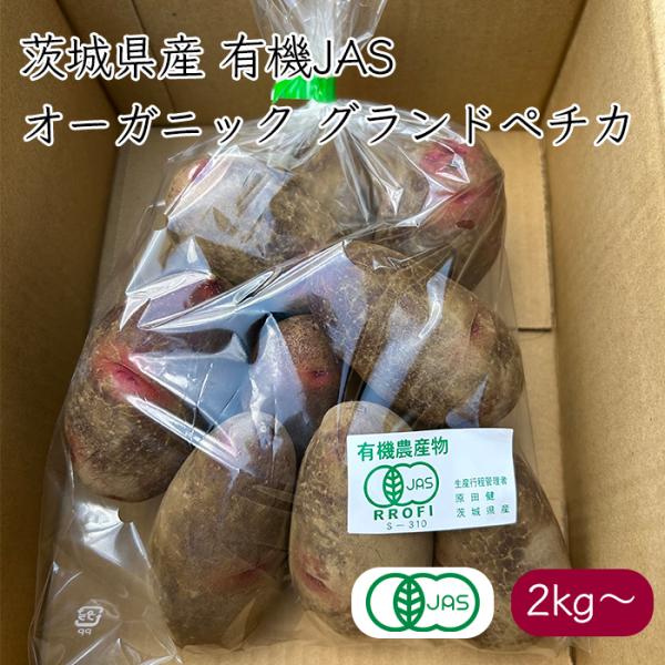 ハラケンファーム 有機JAS グラウンドペチカ《産地直送》【送料無料 沖縄離島除く】国産 じゃが芋 じゃがいも ジャガイモ 無農薬 オーガニック デストロイヤー