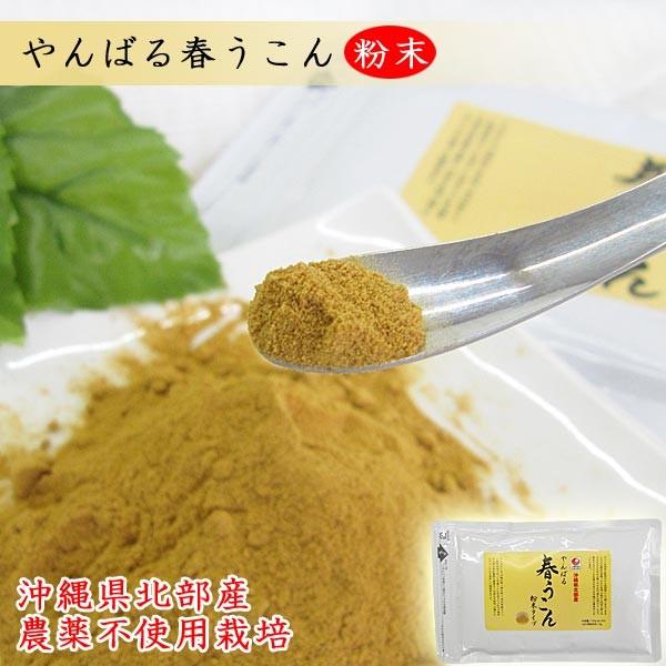 上質で快適 やんばる 春ウコン 粉末 送料無料 100g アルミパック入 10個セット 沖縄県北部産春ウコン使用 農薬等不使用栽培 無添加 沖縄ウコン堂 楽天1位 Ihmc21 Com
