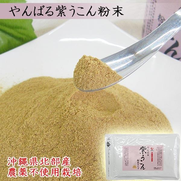 紫ウコンパウダー やんばる 紫うこん 粉末タイプ 100g 農薬不使用栽培 沖縄産 ガジュツ ウコン堂 Um02 沖縄情報館 通販 Yahoo ショッピング