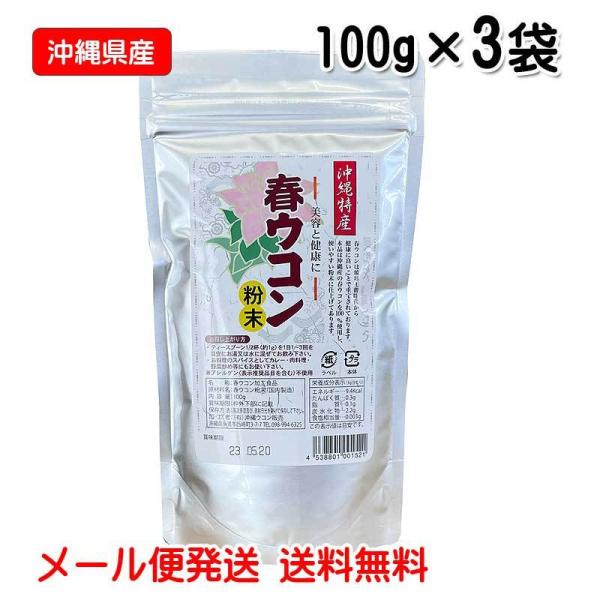 沖縄県産 春ウコン粉末 100g×3袋 沖縄県産春ウコン100％ メール便発送 送料無料 沖縄ウコン販売 春ウコン粉