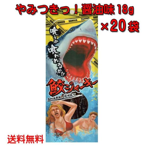 ꌧY LW[L[18g×20 ݂Iݖ XN{  ς J[ ᎉb DHA