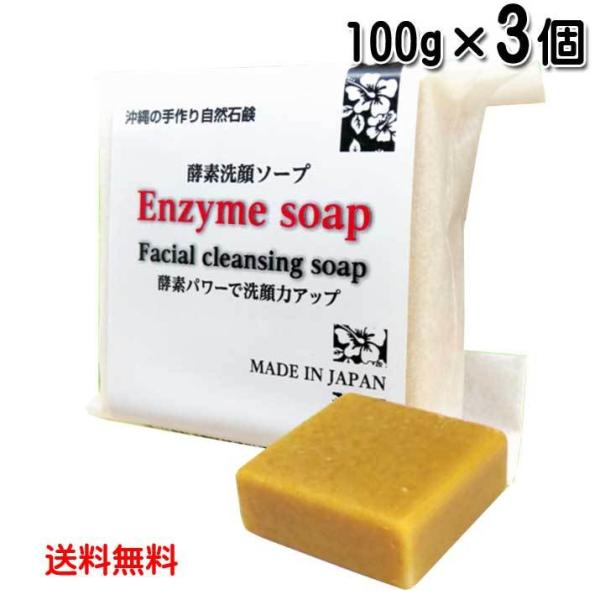 �y�f���\�[�v 100g×3�� ����̎��莩�R�΂��� ��ؔ��y�G�L�X�z�� ���[���֔��� �������� �X�N�������{��