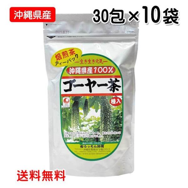 N eB[obO S[[ 30 10܃Zbg ꌧY S[  eB[pbN   񉫓