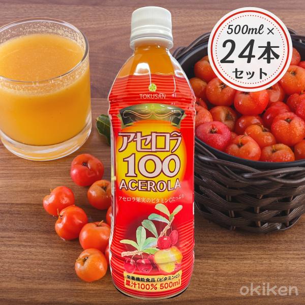 アセロラ100 500ml 24本 アセロラジュース 沖縄特産販売 送料無料 ビタミンc Buyee Buyee Japanese Proxy Service Buy From Japan Bot Online