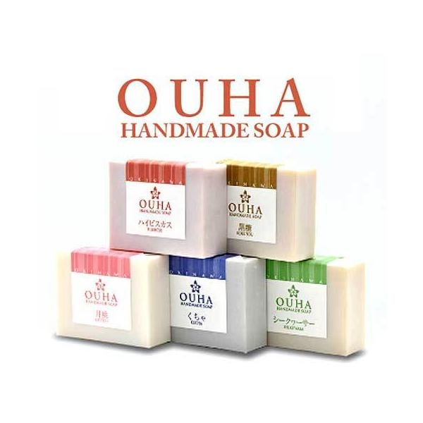 OUHA\[v ΂    nCrXJX V[N[T[ e100g nhCh΂ [֔