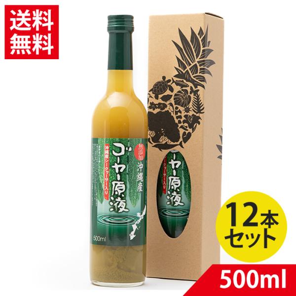 ゴーヤー原液500ml×12本【 送料無料】