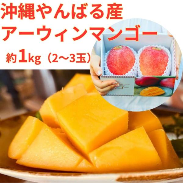 沖縄県産 マンゴー 良品 1kg 送料無料 アップルマンゴー マンゴーギフト 沖縄県産フルーツ 発送は7月中旬からになります 沖縄県 産飲料専門店 沖縄アロエ 通販 Yahoo ショッピング