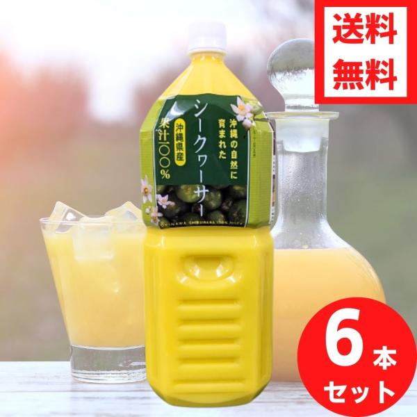 シークヮーサー 沖縄県産シークヮーサー 2L6本 送料無料 沖縄県産 青 