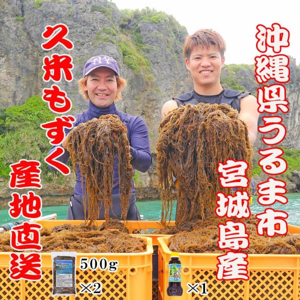 もずく 漁師直送 久米もずく500g 2袋 もずくのたれ 1本 セット うるま