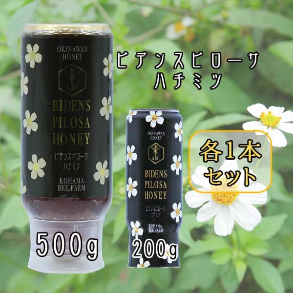 コハマのハチミツ ビデンスピローサ 国産 ハチミツ 原液 はちみつ 蜂蜜