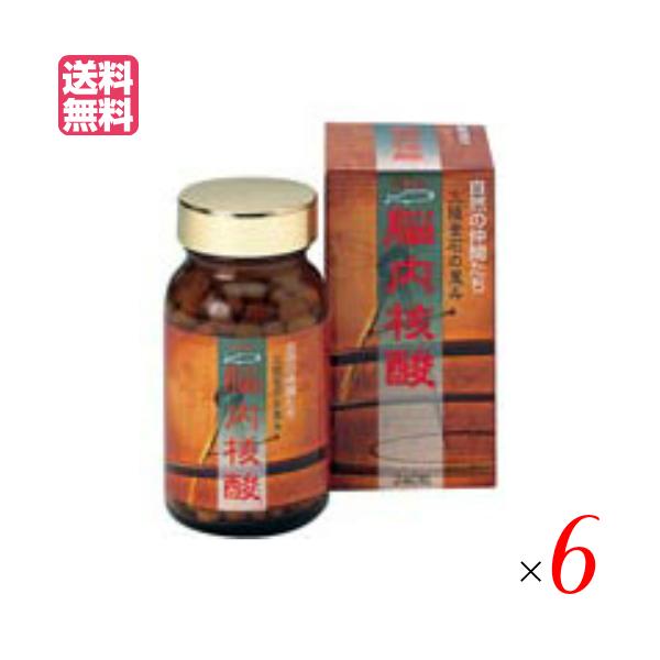 脳内核酸 248粒入り 6個セット 核酸 DHA イチョウ サプリ 毎日元気 