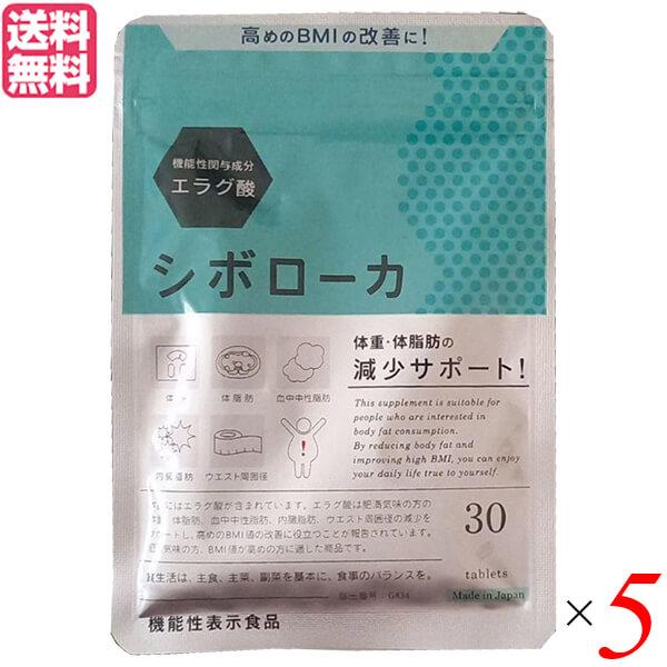 12/19(木)限定！ポイント+9%】シボローカ 30粒 機能性表示食品 エラグ 