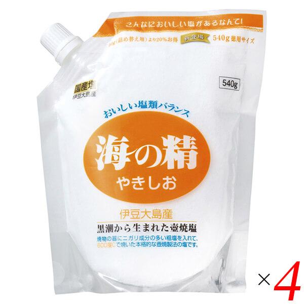 【ポイント+10％！】6/14(日)限定！塩 天然塩 天日 海の精 やきしお（スタンドパック）540g 4個セット 送料無料