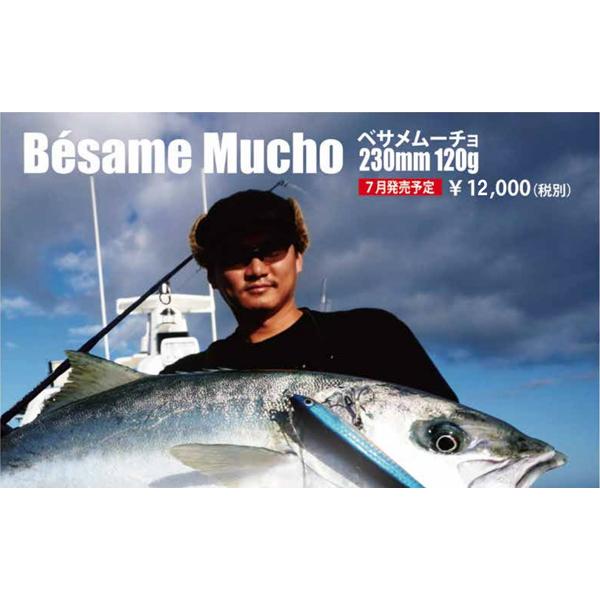 ベサムーチョ 230-120G / ソウルズ
