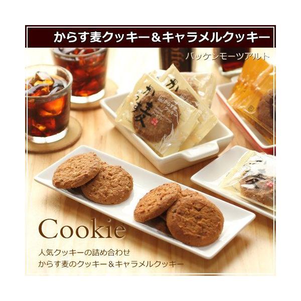 からす麦の焼きたてクッキーとキャラメルクッキーセット 各20枚入り 広島 名物 お土産 ギフト プレゼント 誕生日 父の日 お中元 バッケンモーツアルト Buyee Buyee 日本の通販商品 オークションの代理入札 代理購入