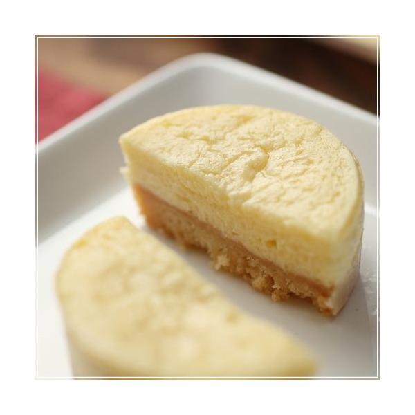 広島レモン ニューヨークチーズケーキ 5個入り 広島 名物 お土産 スイーツ ケーキ ギフト プレゼント 内祝い お返し 誕生日 敬老の日 産直 広島れもん舎 Buyee Buyee Japanese Proxy Service Buy From Japan Bot Online