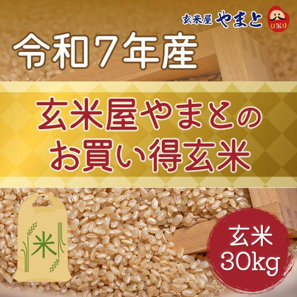 玄米 一等 30kg 令和7年産 国内産お買い得玄米（新潟こしいぶき）