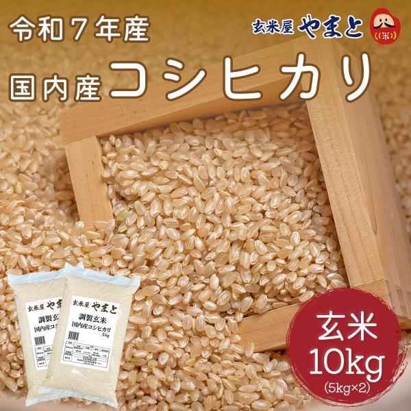 玄米 コシヒカリ 10kg （5kg×2本） 国内産 令和7年産米 石抜き 選別済み 10キロ
