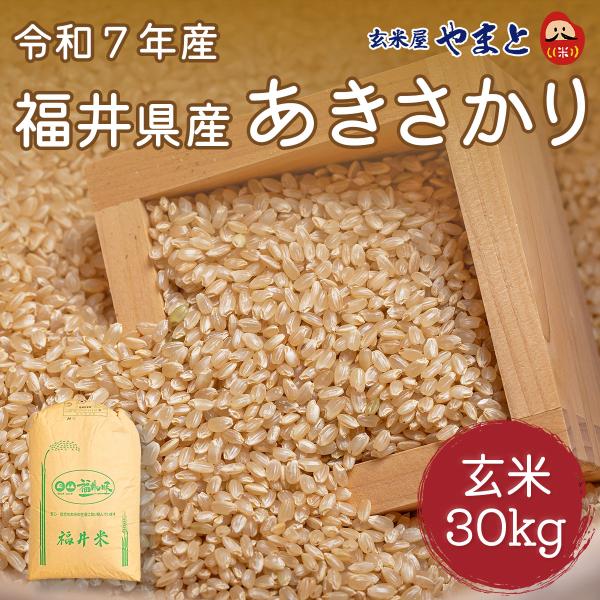 玄米 令和7年産  福井県産あきさかり １等 30kg