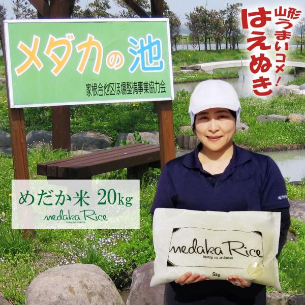 令和7年 メダカが泳ぐキレイな田んぼで育ったお米 20kg (5kg×4袋) めだか米 (玄米・白米・無洗米)精米方法選べます 山形県産 はえぬき