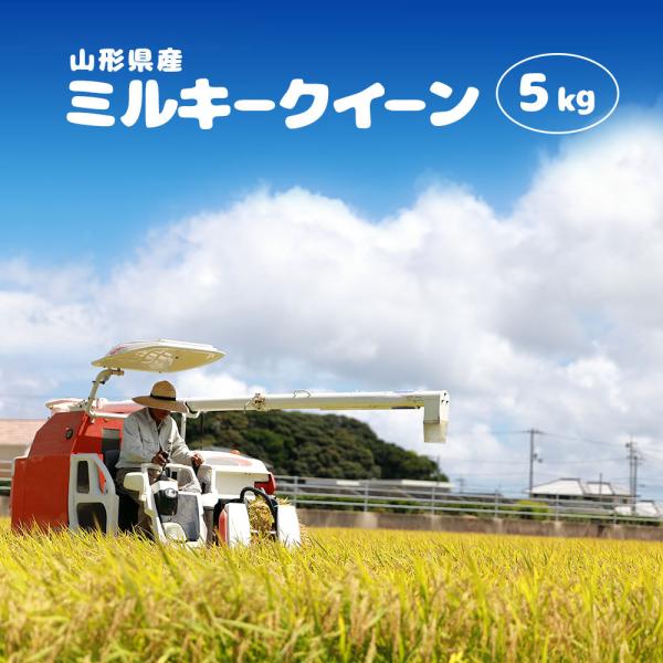 V ߘa7N ~L[NC[ 5kg R`Y  (āEāE)