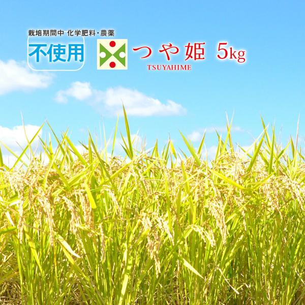 新米 令和3年 無農薬 米 5kg 山形県 つや姫 特別栽培米 (玄米・白米・無洗米)精米方法選べます