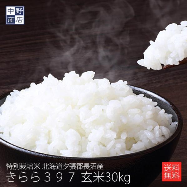 玄米でお届け限定価格 令和7年度産 お米 30kg きらら397 北海道産