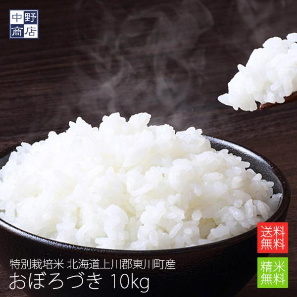 令和7年度産 お米 10kg おぼろづき 北海道産 送料無料 上川郡東川町