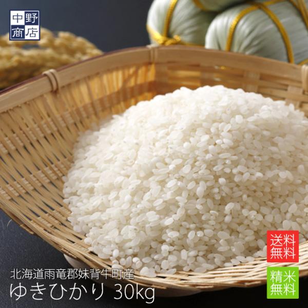 令和７年度産 お米 30kg ゆきひかり 北海道産 送料無料 雨竜郡妹背牛町 生産者 F・C雪月花さん 白米 無農薬 北海道米