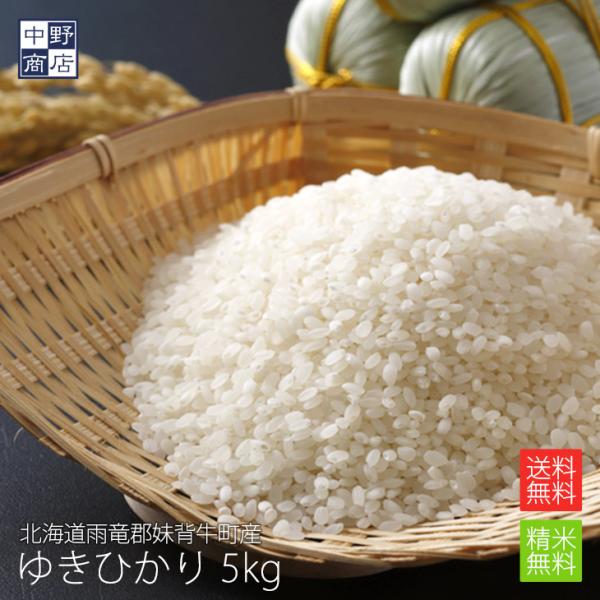 令和７年度産 お米 5kg ゆきひかり 北海道産 送料無料 雨竜郡妹背牛町 生産者 F・C雪月花さん 白米 無農薬 北海道米