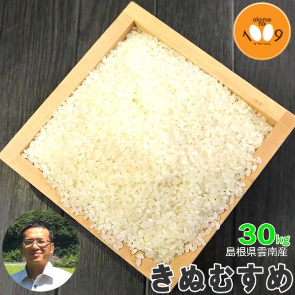キヌヒカリ 新米 30kg 玄米 島根県雲南産 きぬむすめ 石原公夫 キヌヒカリ 新米 30kg 玄米 島根県雲南産 きぬむすめ 石原公夫