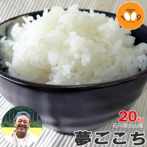 V 20kg  ΐ쌧RY  gG ߘa7NY ʍ͔|_Y