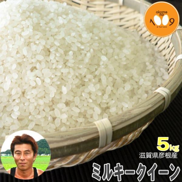 V 5kg  ꌧFY ~L[NC[  ߘa7NY