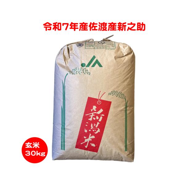 新之助（しんのすけ） 令和7年産 玄米30kg 佐渡産新之助 : お米の金子