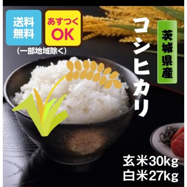 コシヒカリ 米 お米 玄米30k 5kg×6 白米27k 4.5k×6 茨城県 6 コシヒカリ 米 お米 玄米30k 5kg×6 白米27k 4.5k×6 茨城県 6