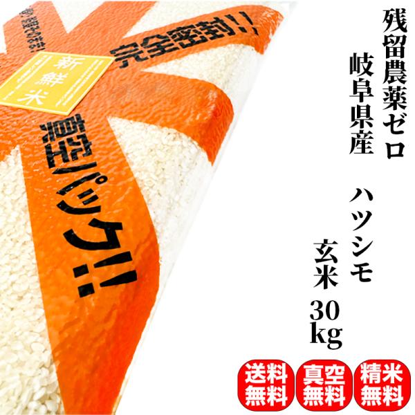 残留農薬ゼロ 米 お米 30kg 特別栽培米 ハツシモ 岐阜県産 令和4年産 玄米（5kg×真空パック6袋）精米無料 真空パック無料 送料無料