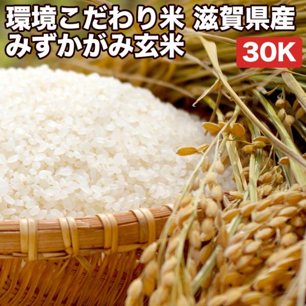 くず米 玄米 30kg にじのきらめき 玄米30kg
