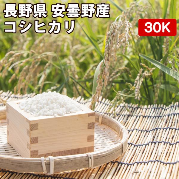 コシヒカリ 玄米 30kg 真空パック(5kg×6袋)長野県 安曇野産 令 コシヒカリ 玄米 30kg 真空パック(5kg×6袋)長野県 安曇野産 令