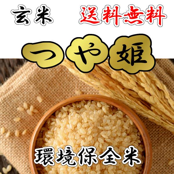 セール中！(送料無料)つや姫 玄米20kg 新米 令和7年産(環境保全米)農家直送